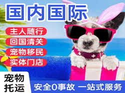 烟台蓬莱空运地址国际宠物托运 【国